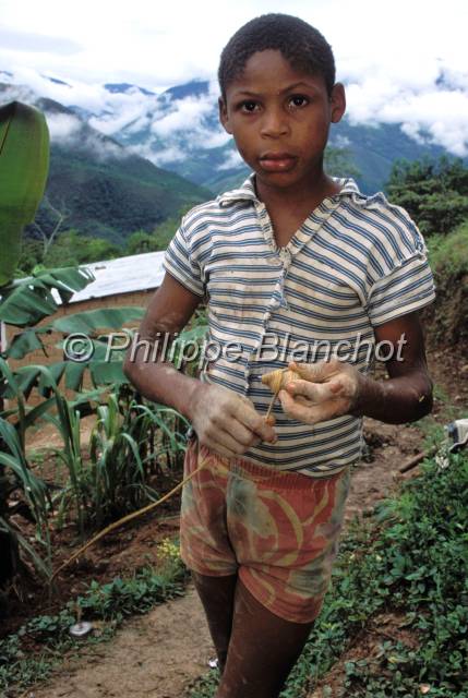 yungas bolivie  07.JPG - Enfant Moreno (Noir)Tocana CoroicoYungas de Bolivie
